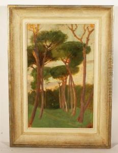 Paesaggio - view 1