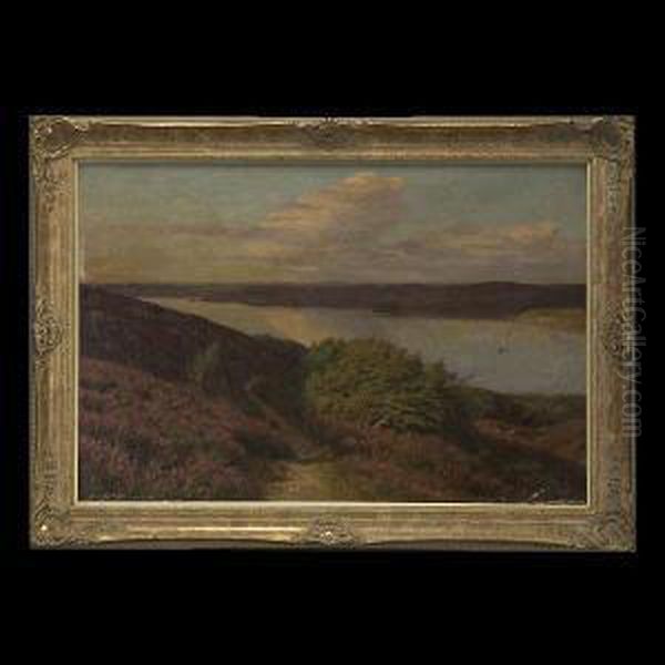 American- River View - view 1