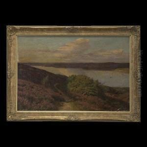 American- River View