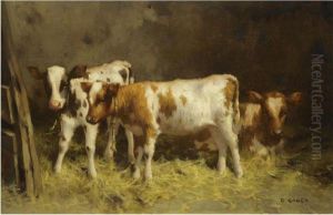 Cows by David Gauld