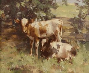 Two Calves
