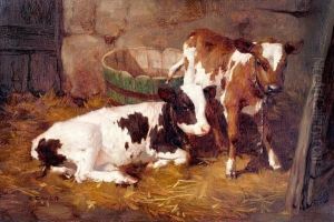 Calves In A Barn Interior