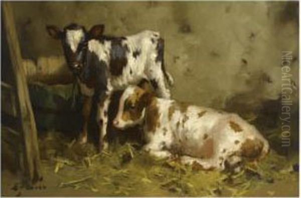 Ayrshire Calves - view 1