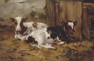 Resting Calves