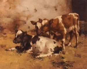 Threecalves In A Barn