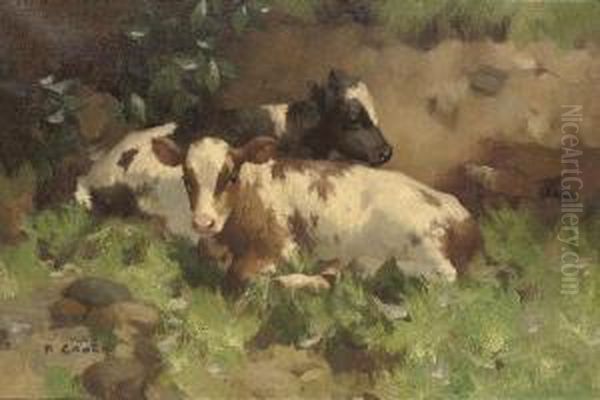 Ayrshire Calves - view 1