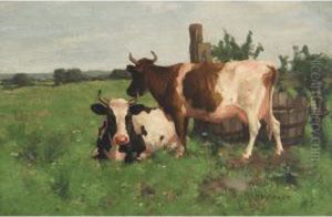 Cows In A Meadow by David Gauld