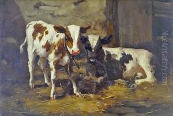 'ayrshire Calves'. - view 1