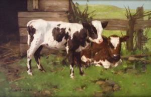 Calves Outside A Farm In A Landscape