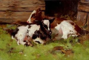 Calves