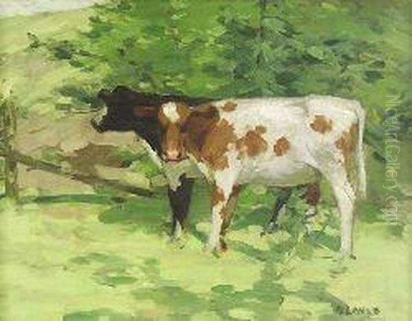 Cattle In The Shade - view 1