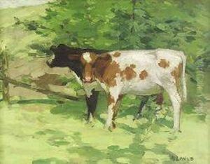 Cattle In The Shade
