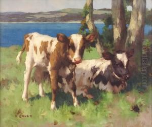 Two Calves On The Coast
