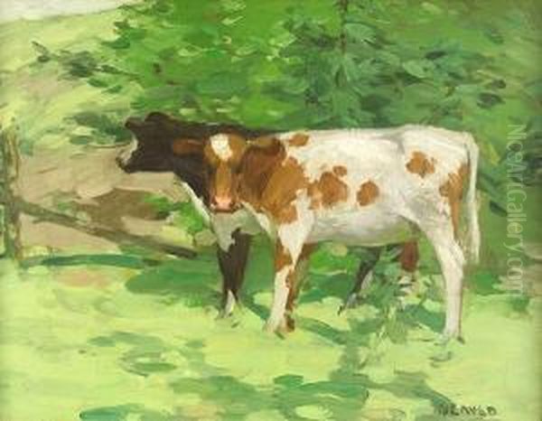 Two Calves - view 1
