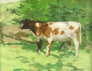 Two Calves