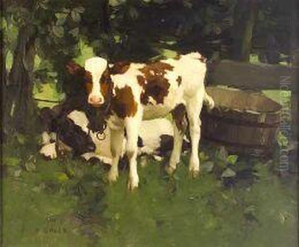 Calves By A Water-butt - view 1