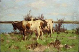 Cows In A Meadow by David Gauld
