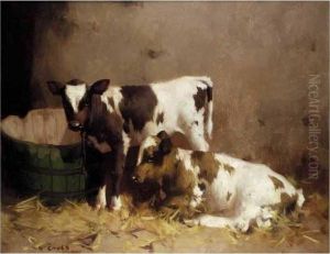 Two Calves In A Stable