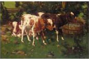 Calves