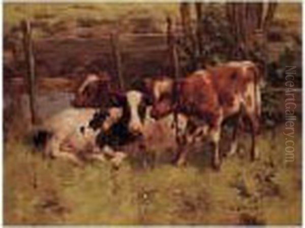 Cattle In A Meadow - view 1