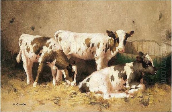 Calves - view 1