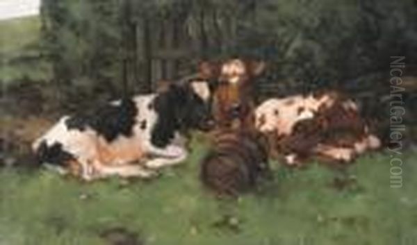 Ayrshire Calves - view 1
