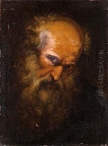 Testa Di Apostolo
