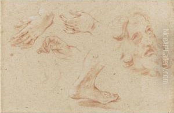 Sheet Of Studies Of Hands, A Foot And The Head Of A Beardedman - view 1