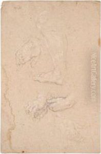 Studi Anatomici