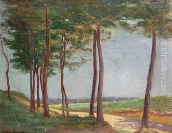 A Tree Lined Road - view 1