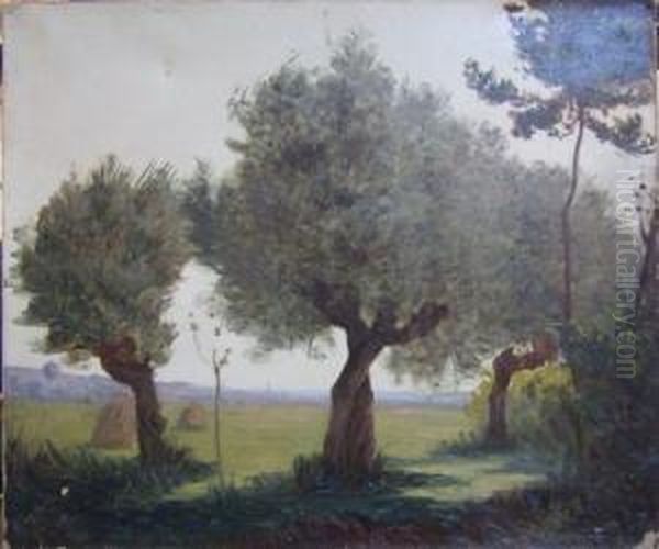 Paysage - view 1