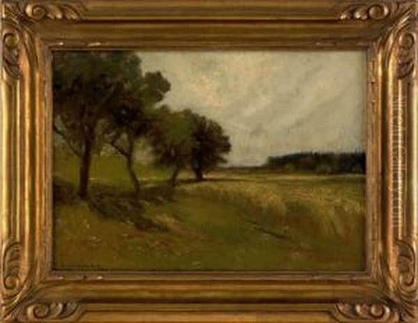 Landscape - view 1