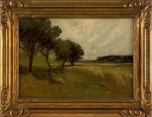 Landscape Landscape