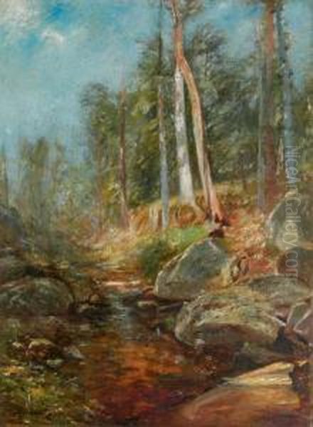 Stream Through A Forest - view 1
