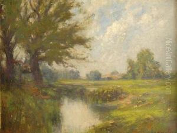 American Landscape - view 1