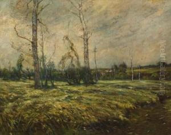 Early Winter Landscape - view 1