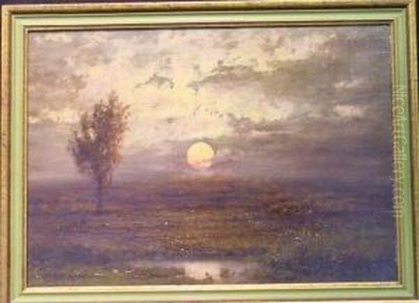 Marsh At Sunset - view 1