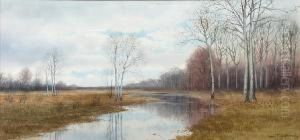 Marsh Landscape