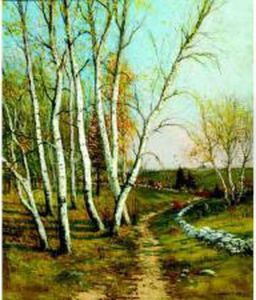 Birches Near A Stone-lined Path