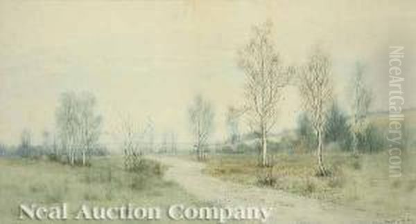 Landscape - view 1