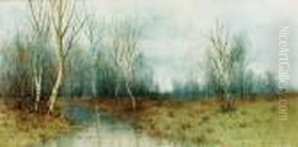 Forest Clearing - view 1