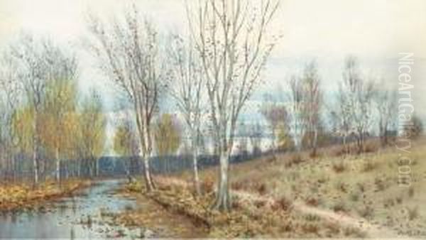 Meadow Stream - view 1
