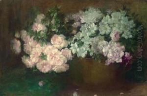 Floral Still Life Floral Still Life