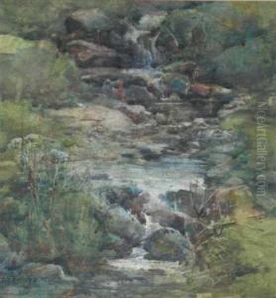 A Quiet Stream - view 1