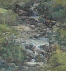 A Quiet Stream by Ewan Geddes