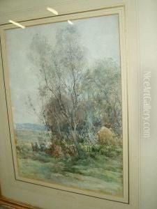 Edge Of The Copse