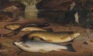 Brown Trout And A Sea Trout On A River Bank by William Geddes