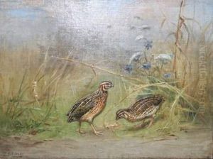 Cailles by Jules Bertrand Gelibert