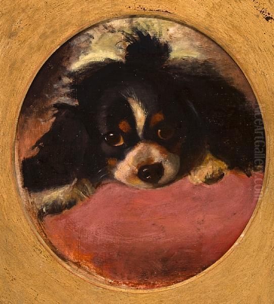 Cavalier King Charles Spaniel - view 1