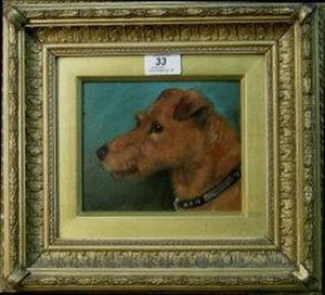Portrait Of A Rough Haired Terrier's Head by George Earl